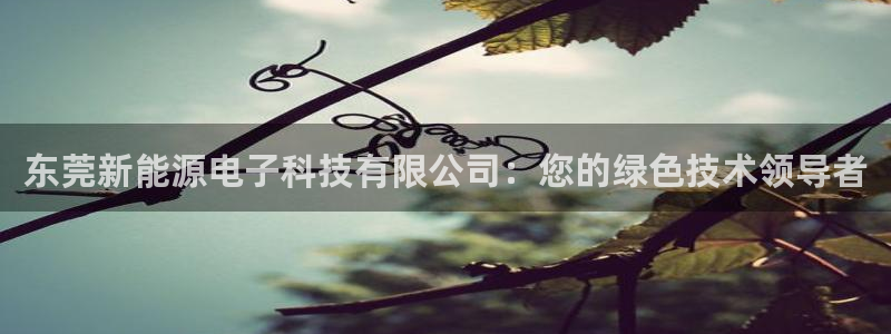 sunbet官网welcome