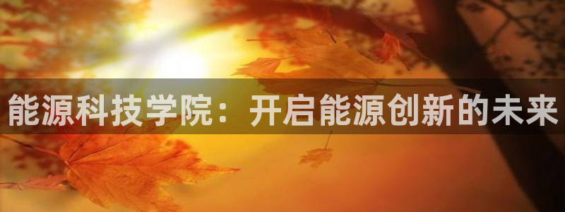 sunbet手机网页版本