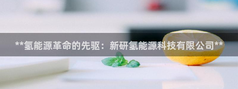 sunbet程序