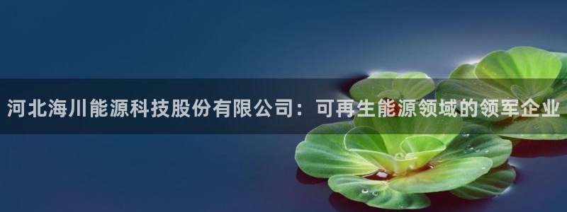 申博手机版官网