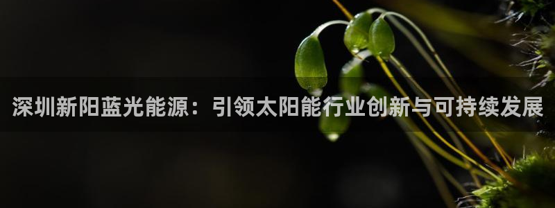 sunbet游戏最新版