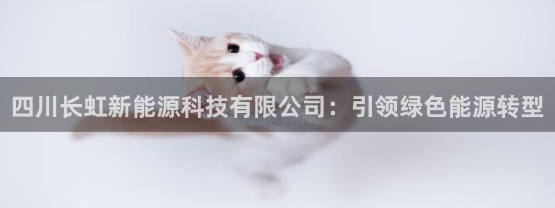 sunbet英语翻译