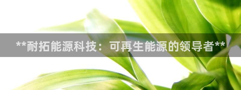 sunbet申搏app下载