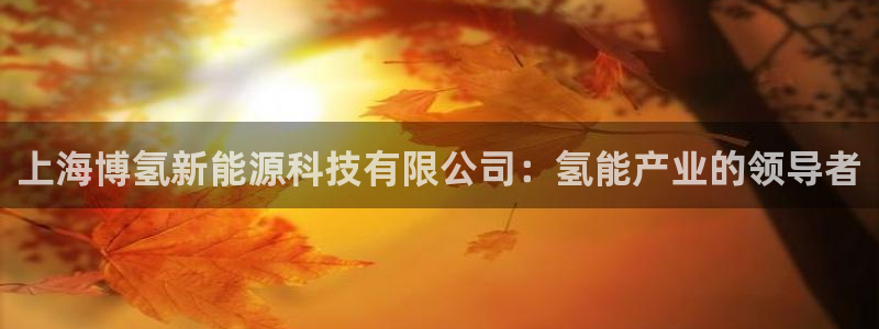 sunbet申搏官方网站