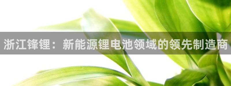 sunbet英语翻译