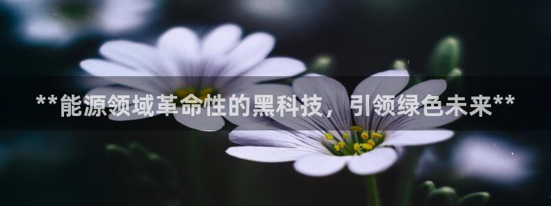 sunbet官网代理下载