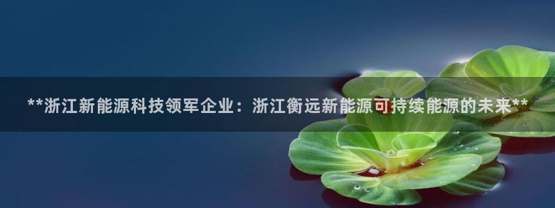 申博视讯