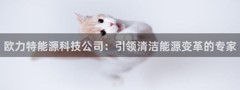 sunbet手机网页版本