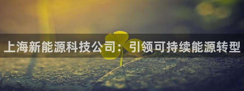sunbet手机网页版本