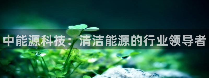 sunbet最新登陆