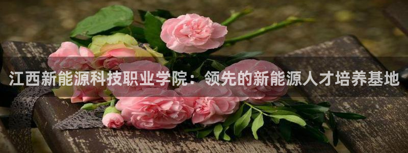 sunbet游戏