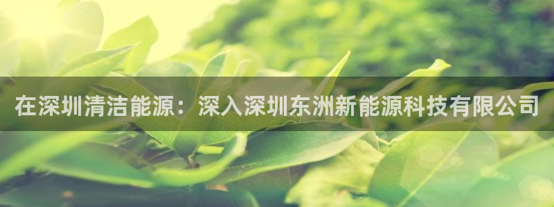 sunbet手机网页版