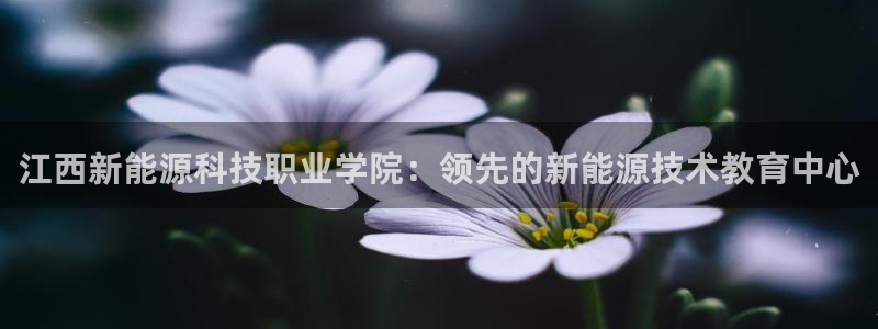 申博官方网站