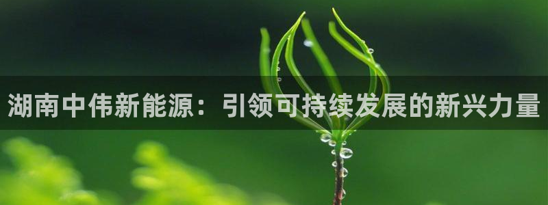 sunbet手机版登录
