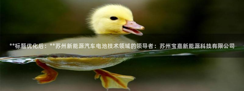 申博官方网址