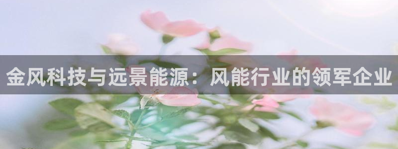 申博手机网站