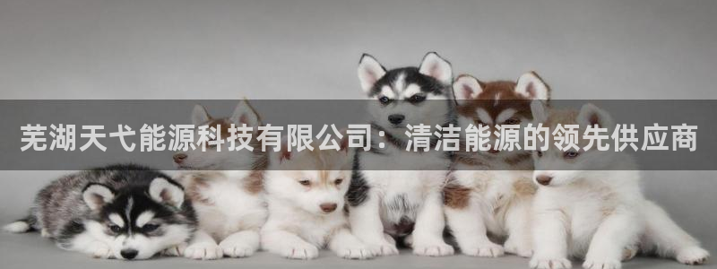 申博视讯