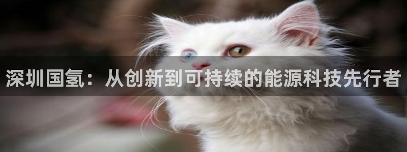 进入sunbet官网手机版登陆