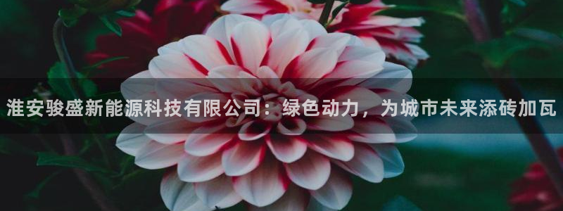 进入sunbet官网手机版登陆