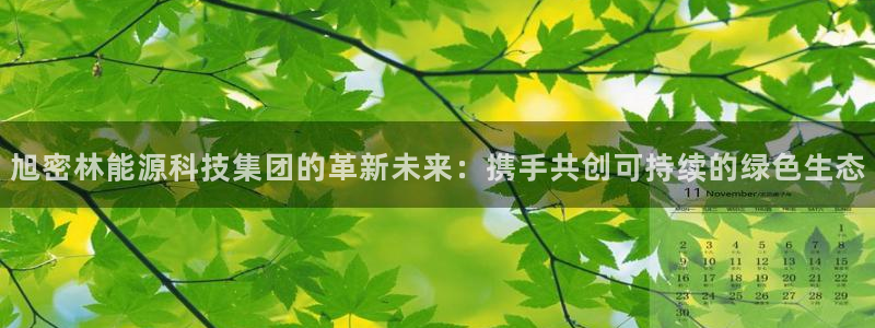 sunbet官网手机版