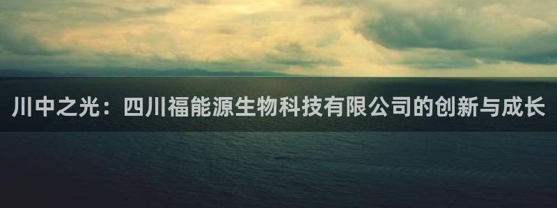 sunbet程序