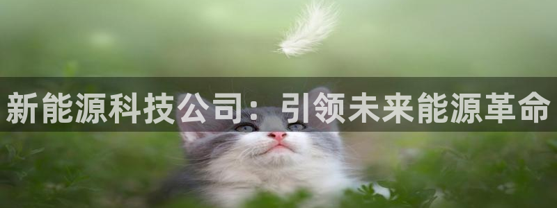 sunbet申搏官方网站