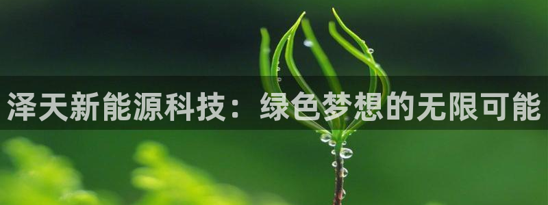 sunbet程序