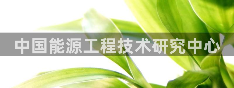 sunbet官网登录首页