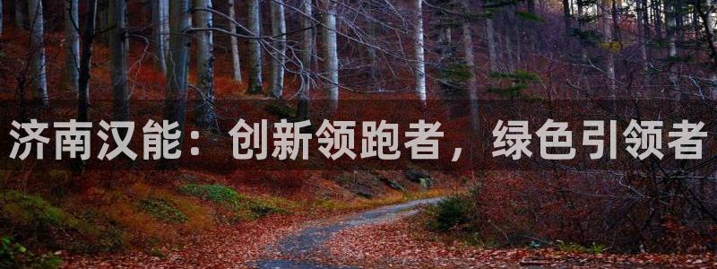 sunbet源码