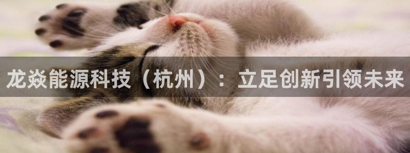 sunbet手机app版