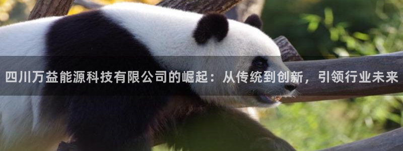 申慱sunbet手机版登