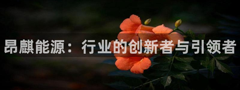 sunbet最新消息