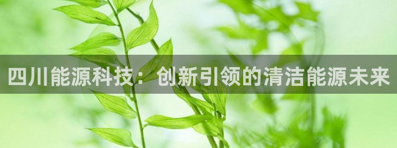 sunbet燃气灶