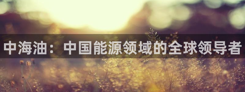 sunbet手机网页版本