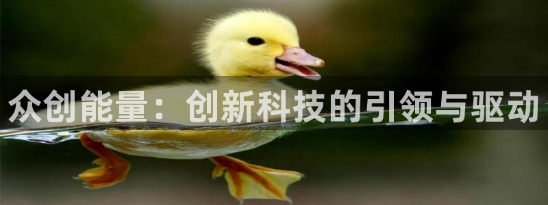 sunbet手机端