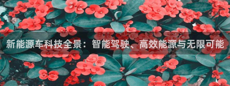 sunbet官网手机版
