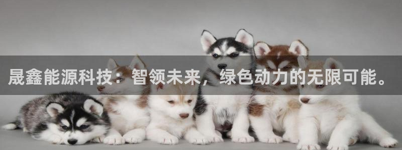 申慱sunbet版app