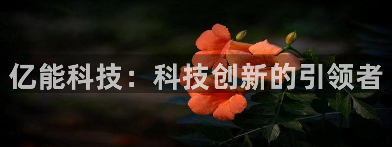 sunbet官网登录首页