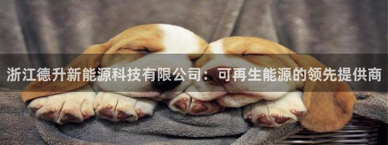 sunbet官网手机版登录