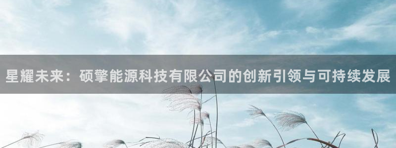 申博手机版官网