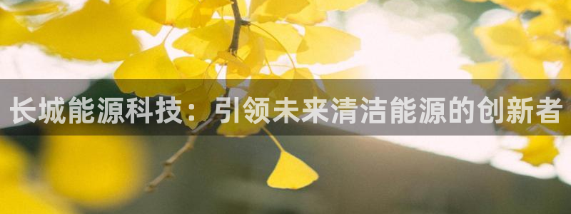 申博官网手机版下载app