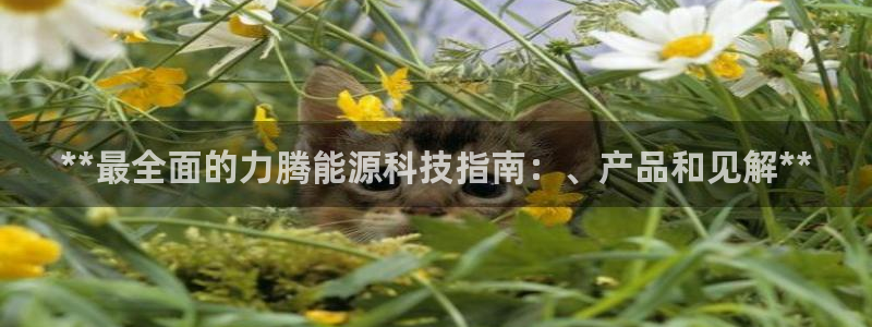 sunbet官网手机版登录