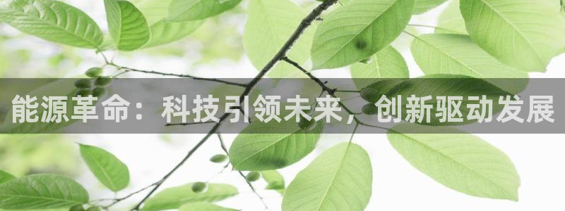 下载申搏sunbet并安装app