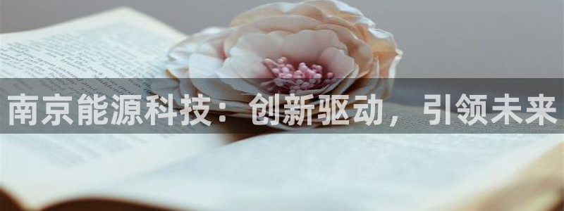 sunbet官网代理下载