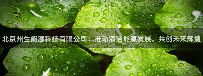 sunbet手机网页版下载