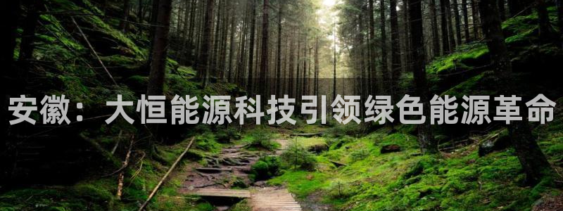 sunbet手机版登录