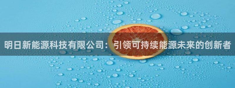 申博官方网站手机版下载