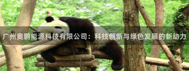 sunbet首页登录入口