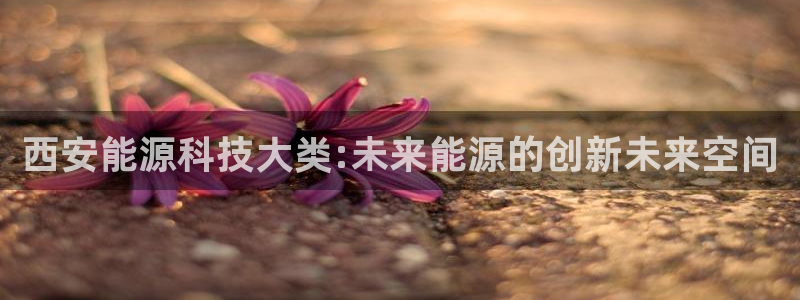 申博官网电脑版下载