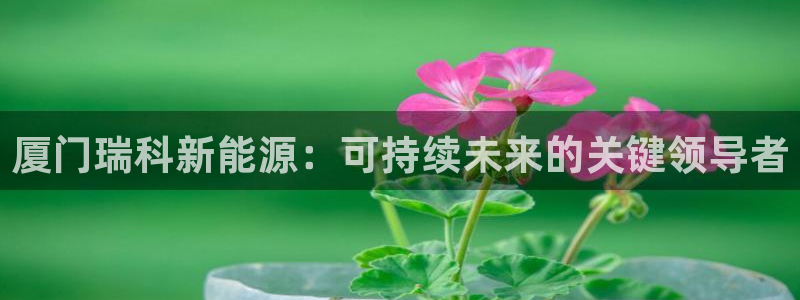 sunbet官网app首页